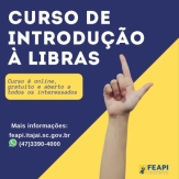 FEAPI promove curso de Introdução à Libras da Escola Virtual de Governo (ENAP)